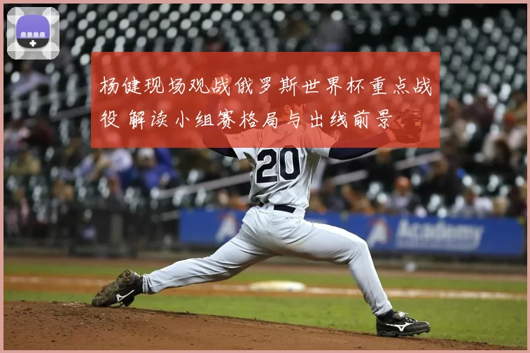 杨健现场观战俄罗斯世界杯重点战役 解读小组赛格局与出线前景