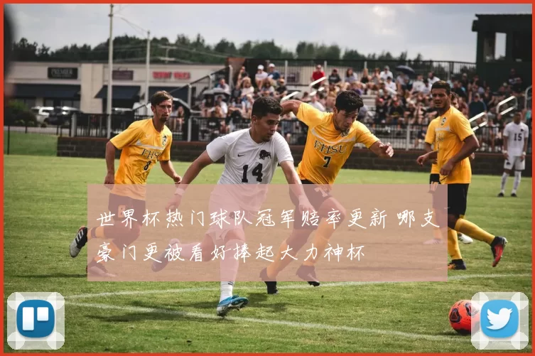 世界杯热门球队冠军赔率更新 哪支豪门更被看好捧起大力神杯